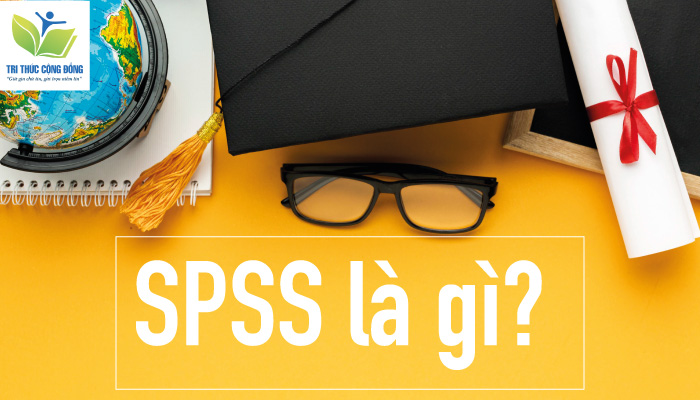 Tải SPSS 20 Full Crack Miễn Phí Mới Nhất 2024 + Hướng Dẫn Cài Đặt A-Z 2