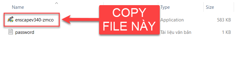 Sao chép file active