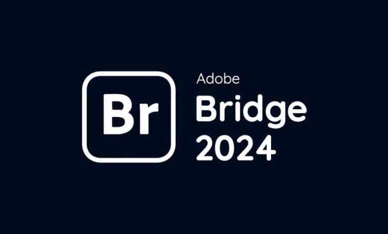 Giao diện Adobe Bridge 2024